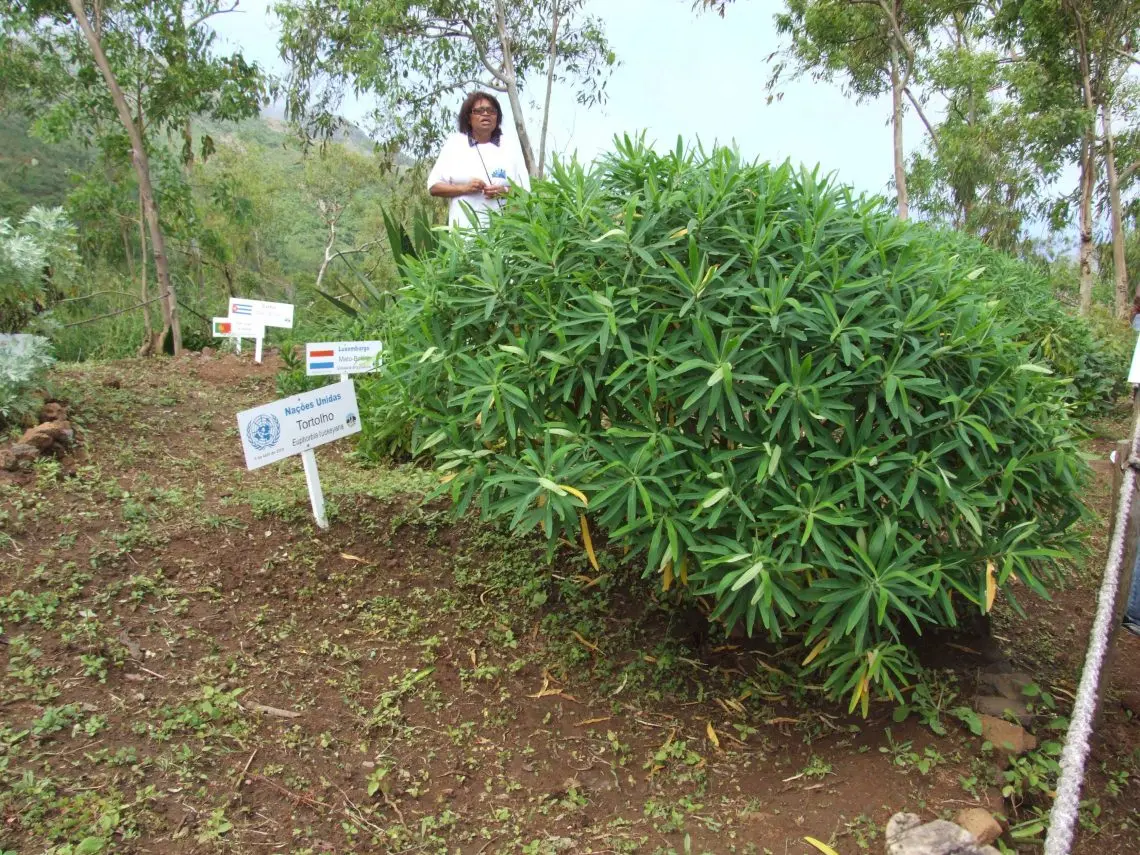 A UNDP project in Cape Verde.