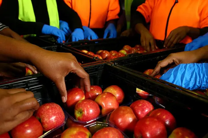 There are no simple public policy solutions that do not have adverse effects. Both the rural politicians and the expert committee have failed to see the effect their proposal would have on the SWP workforce in Australia.