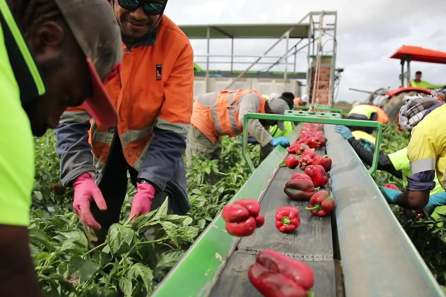 Australia can and should provide a lead in the Pacific region in advancing new policies to work with partners to enhance outcomes for the region, using the vehicles of skilling and labour mobility.