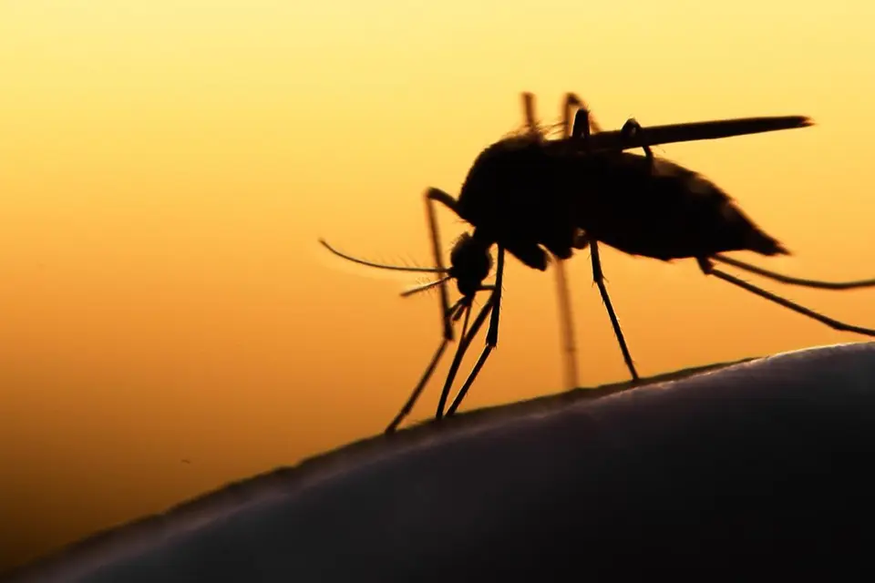 In the Asia-Pacific (APAC) region, which is home to 60% of the world’s population, most countries have made tremendous progress against the disease, reducing malaria cases by half since 2010. Today there are a staggering 89% fewer deaths from malaria than 10 years ago.