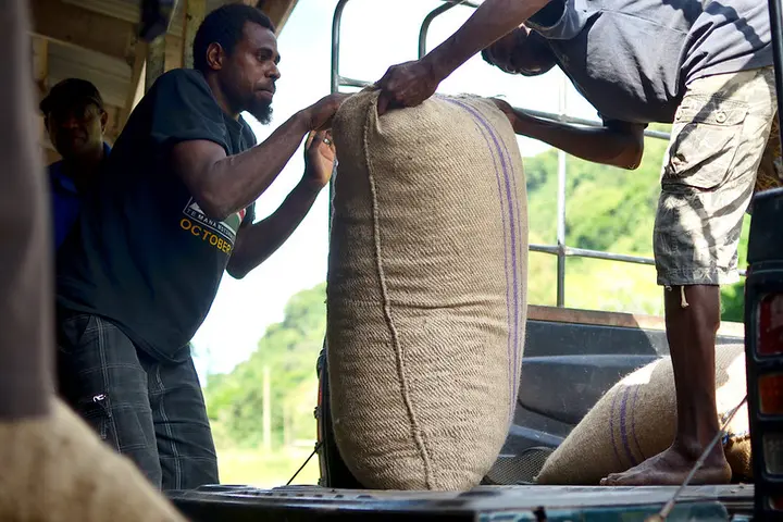 Domestic and international market access continues to be a policy challenge; there are only a handful of manufacturers who are able transform raw products to globally accepted quality standards.