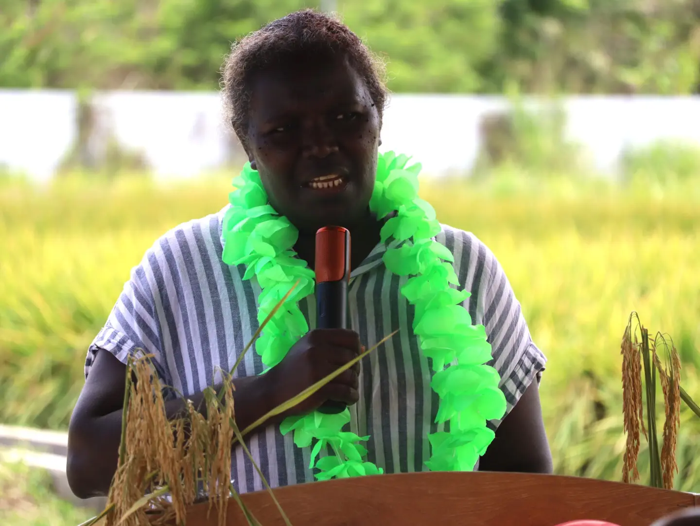 Elda Wate, MALD DSC and PS Supervising, giving her remarks at the Dodo Creek Rice Farm Trail