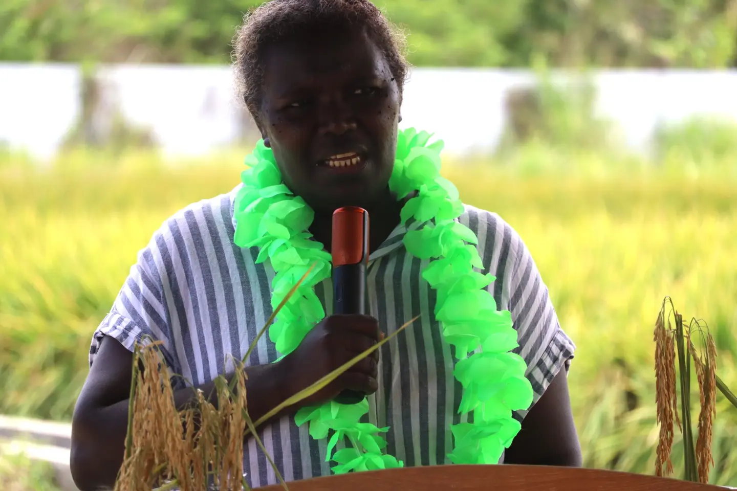 Elda Wate, MALD DSC and PS Supervising, giving her remarks at the Dodo Creek Rice Farm Trail