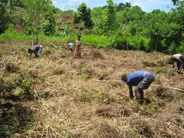 Mr Wale says it is important to stimulate constructive national debate on this vital topic and reflect honestly on the situation on the ground in rural Solomon Islands.