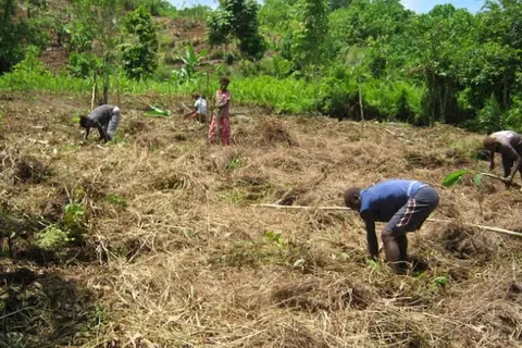 Mr Wale says it is important to stimulate constructive national debate on this vital topic and reflect honestly on the situation on the ground in rural Solomon Islands.