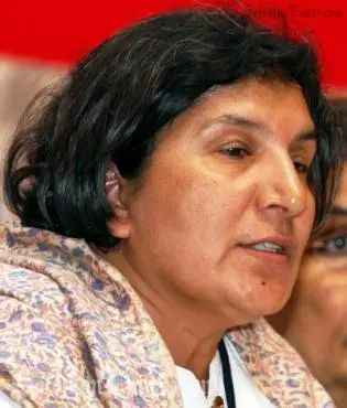 United Nations Special Rapporteur on Violence against Women (VAW), Rashida Manjoo.