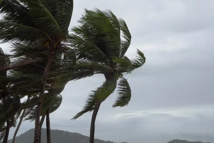 MET service says the strong wind is from an active trough that lies over the Solomon Islands and is linked to a tropical low located in the coral sea.