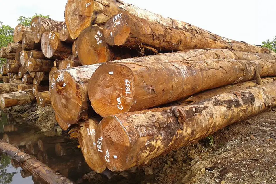 The estimated volume also decreased by 10.6% to 2.822 million cubic meters valued at approximately SBD$2.9 Billion.