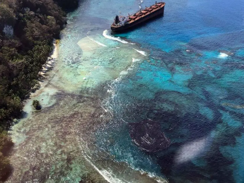 Media reports show a thick oily blanket of tar spreading over the beaches, rockpools, logs and leaves affecting human activity.