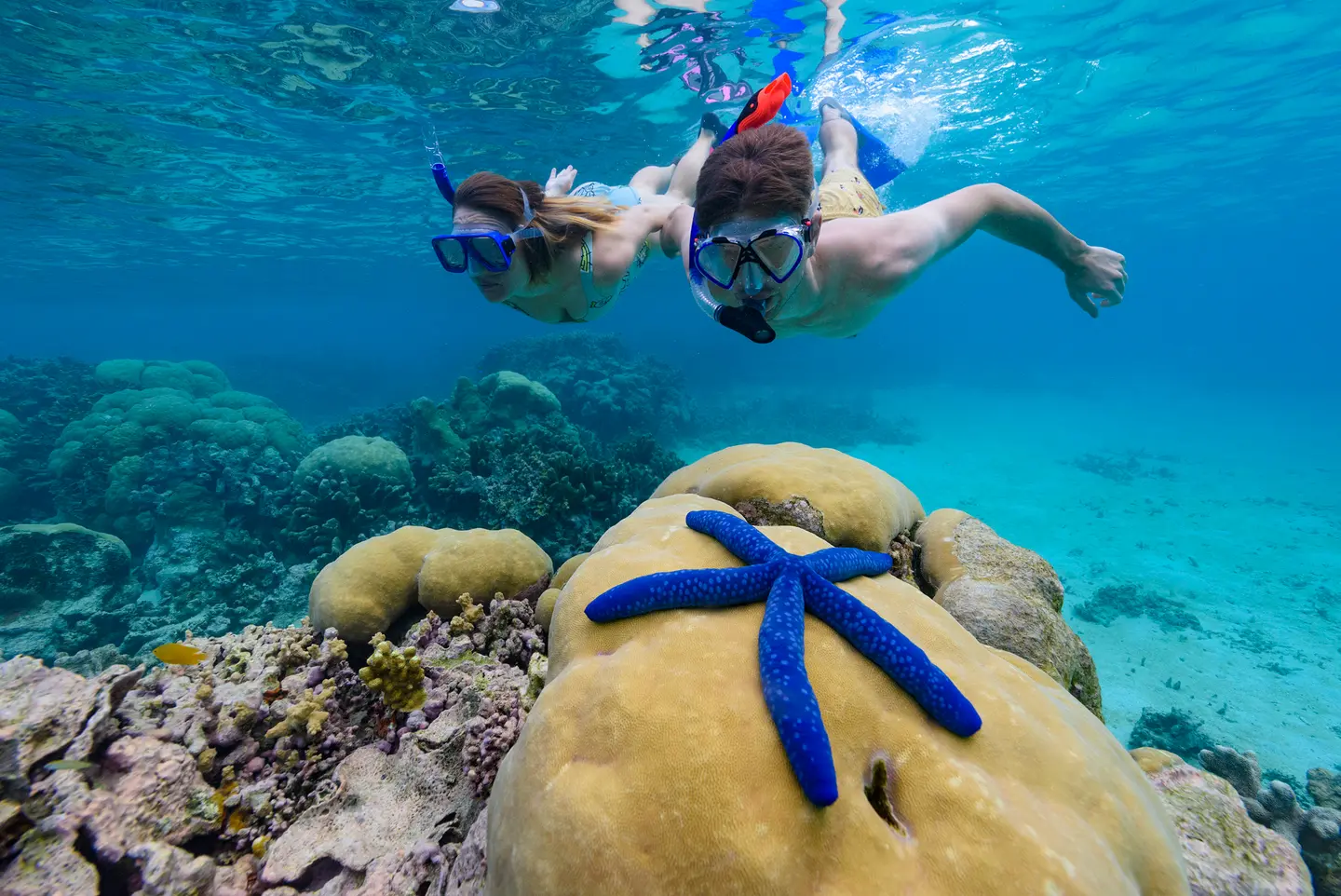 Tourism Solomons and Solomon Airlines Embark on Australian TV Digital Campaign