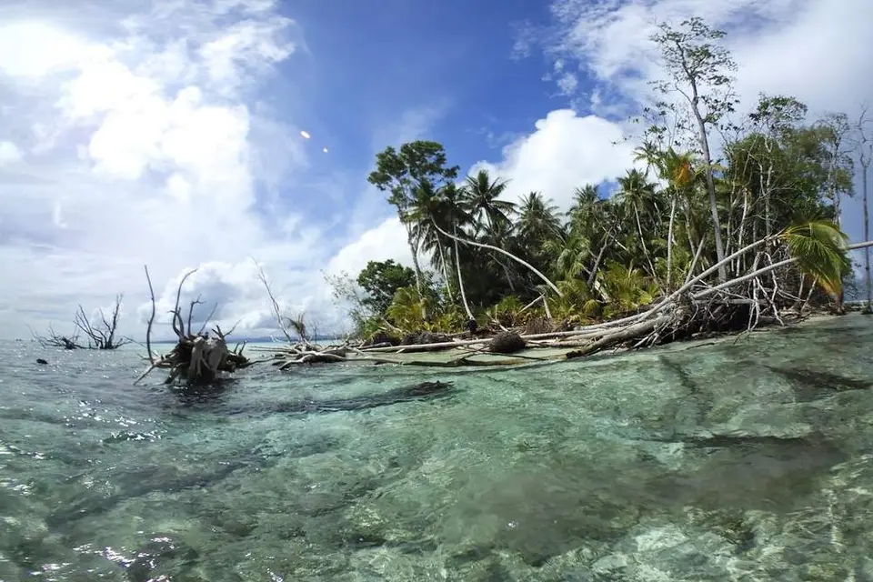 Being vulnerable to Climate Change, many Pacific nations have set ambitious targets for reducing their CO2 emissions by 2030 and transitioning to nearly 100% renewable energy sources.