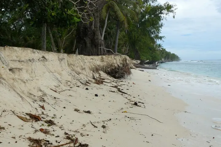 Climate Change Impacts Tracked by Satellite