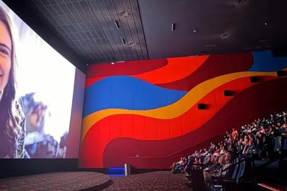 Screening of Prime Minister at the opening of the 6th Pacific Human Rights Film Festival at Damodar City Cinema.