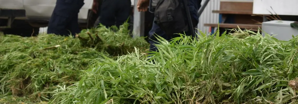 The rising prevalence of these substances has led to an increase in anti-social behavior and crime, prompting local leaders to seek stronger support from law enforcement.