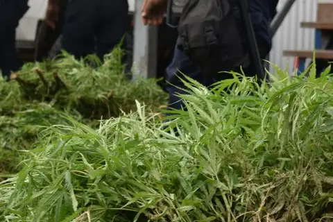 The rising prevalence of these substances has led to an increase in anti-social behavior and crime, prompting local leaders to seek stronger support from law enforcement.