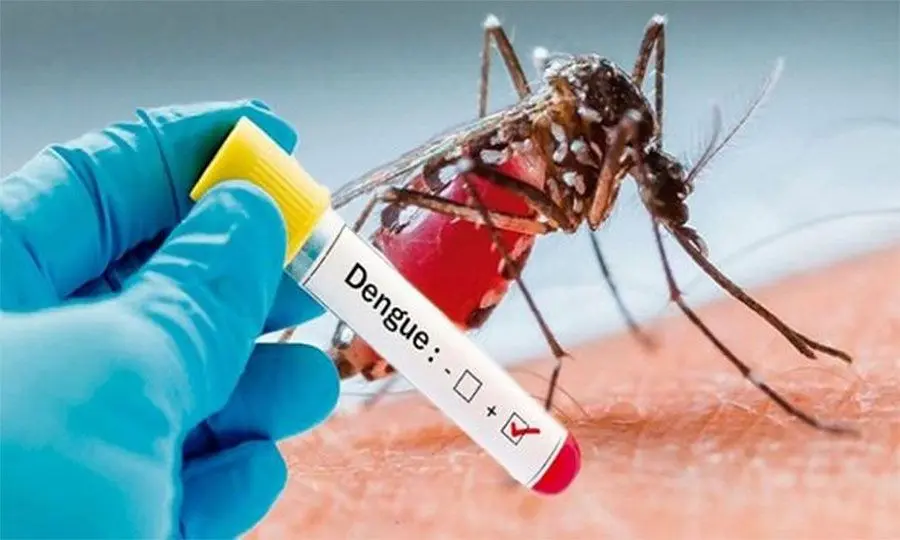 Prime Minister, Frank Bainimarama said Dengue was spread by mosquitoes which thrived in pools of still water that gathered after a storm.