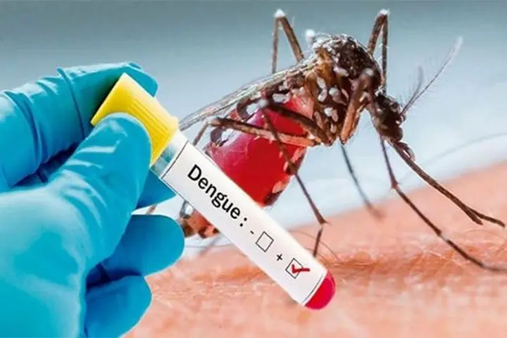 Prime Minister, Frank Bainimarama said Dengue was spread by mosquitoes which thrived in pools of still water that gathered after a storm.