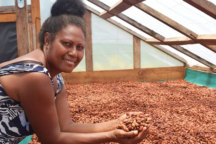 Lucy Kasimwane inspects cocoa beans in a solar drier on her farm in Makira.