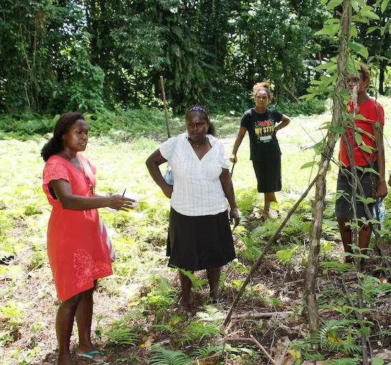 Risk Toolkit for Solomon Islands