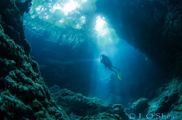 Mbulo Caves in Mbulo Island has a series of caves cut into the reef around the island. This dive is all about the light; swimming in and out of caves, finding beams of light to shoot. A green jungle canopy lies above.