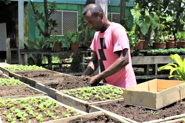 Better seed systems for the Solomon Islands! PHAMA Plus has partnered with Kastom Gaden Association to help address food and nutrition security concerns in the country by improving seed distribution and support systems for increased agricultural production.