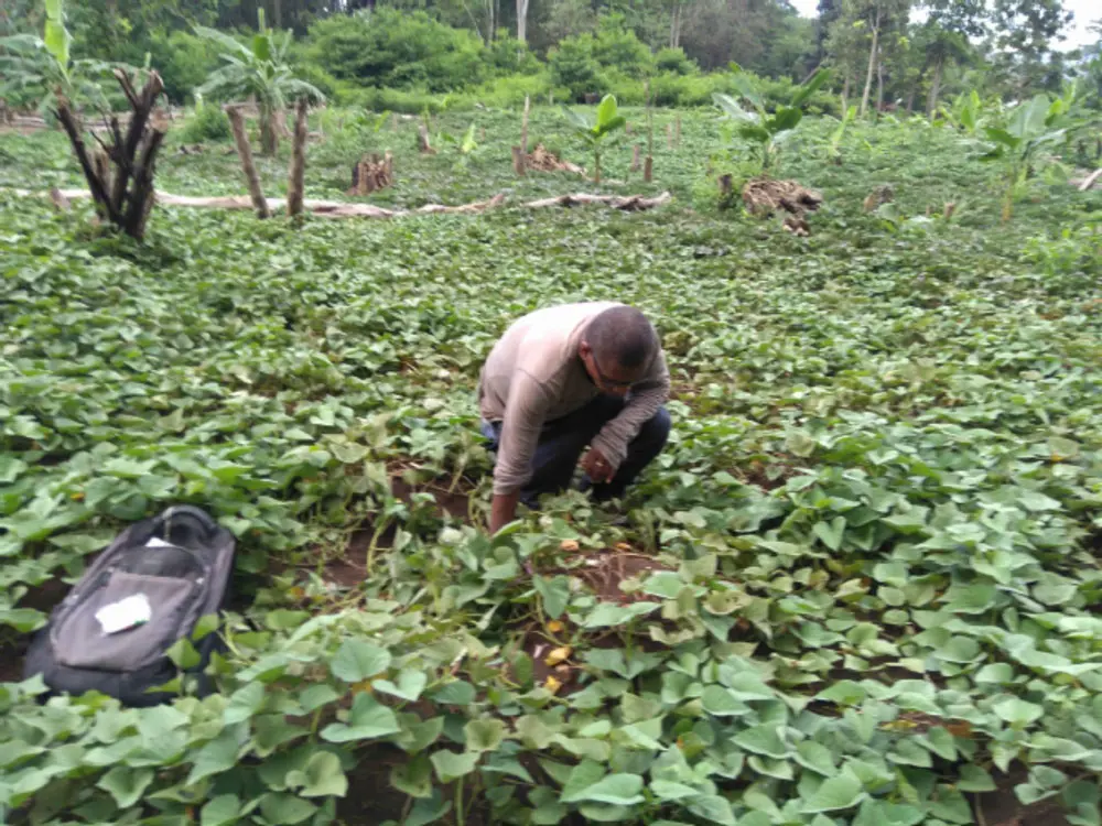 Farmers form the backbone of the agriculture sector and the economy, yet, they continue to face numerous challenges in accessing resources and market.