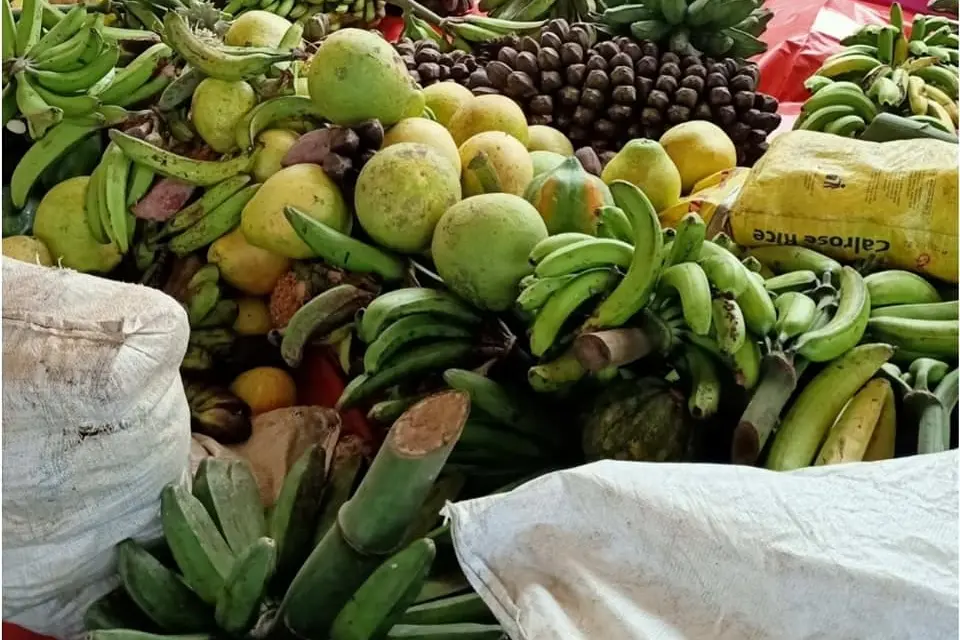 Chairman of the LSC Mr. Michael Ho’ota thanked the churches for their generous contribution adding the food support will help the LSC feed those that are in home isolation or in quarantine sites.