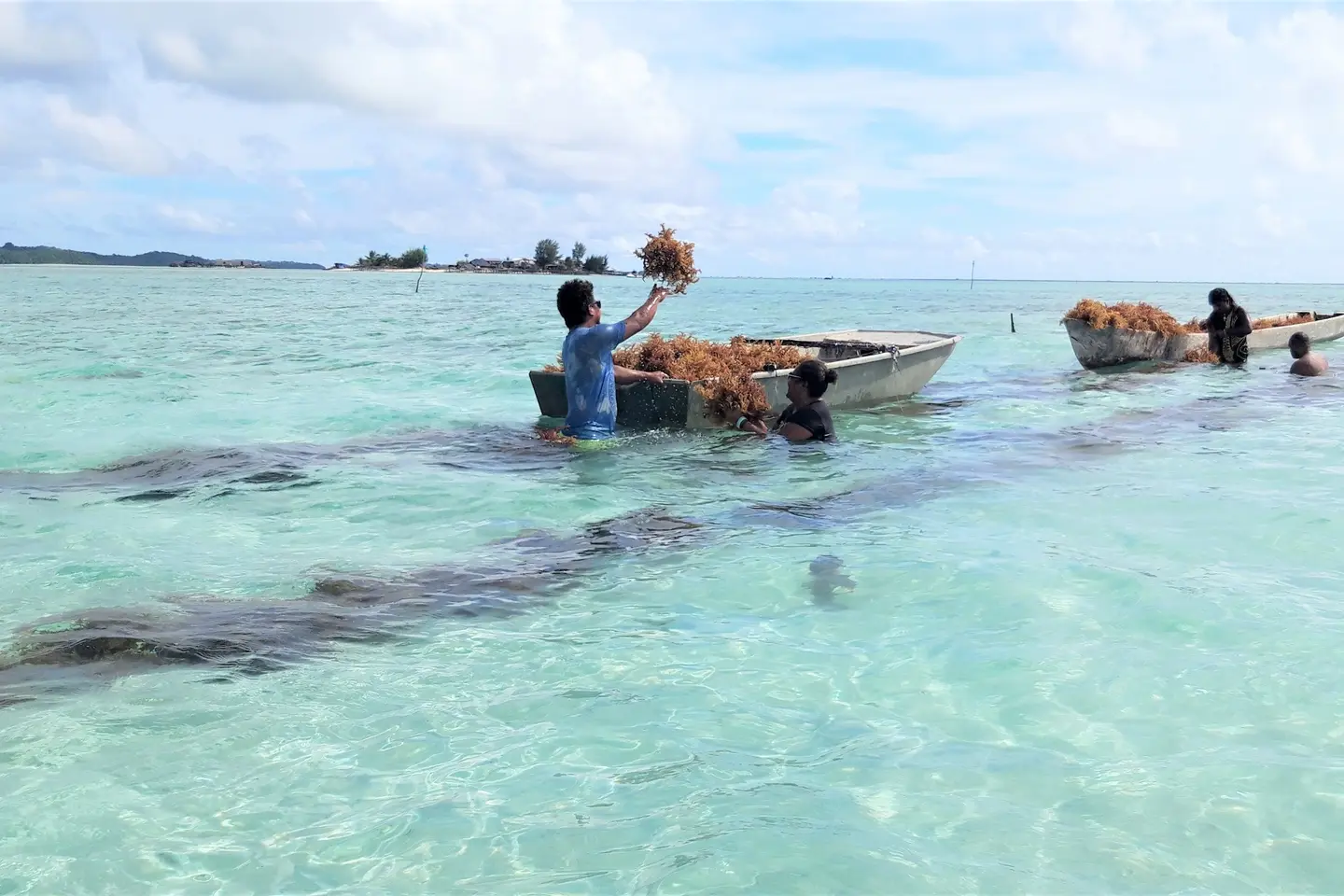 Tatoke says monies from the seaweed business pays for his children’s education.