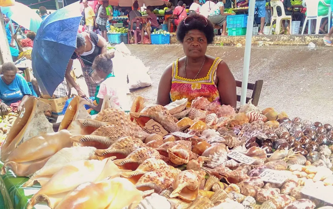 While vendors might not think much of selling items such as sea shells, for Susan she says it is a lucrative business.