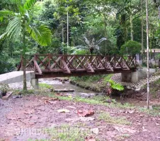 The TV exposure on the Botanical Garden Sex Trade featured two teenage girls saying they earn up to 200 dollars a night each from prostitution.