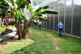 Officers have searched surrounding bush land and nearby villages for any trace of the escapees.