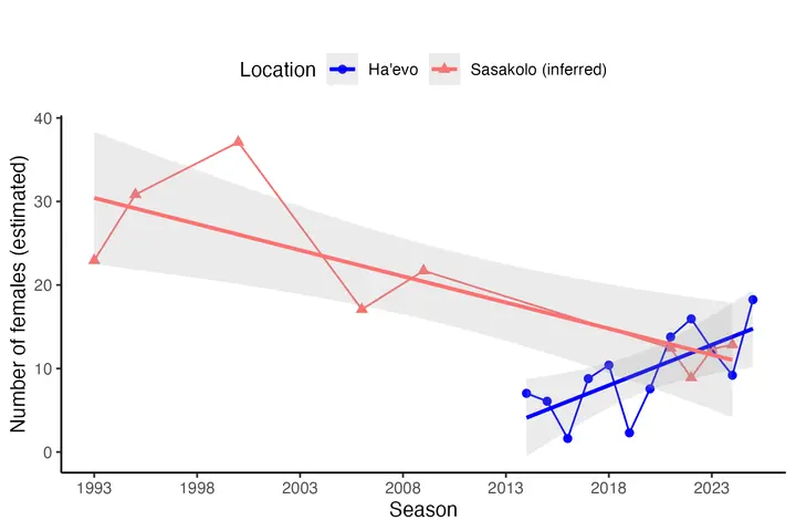 The estimated number of female leatherbacks nesting each November to January at Haevo (blue) and Sasakolo (red), with the study's trend lines. Sasakolo's early figures are inferred from shorter surveys.