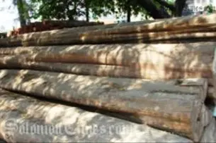 TSI says that the Government's action will not deter others from engaging in such illegal behavior.
