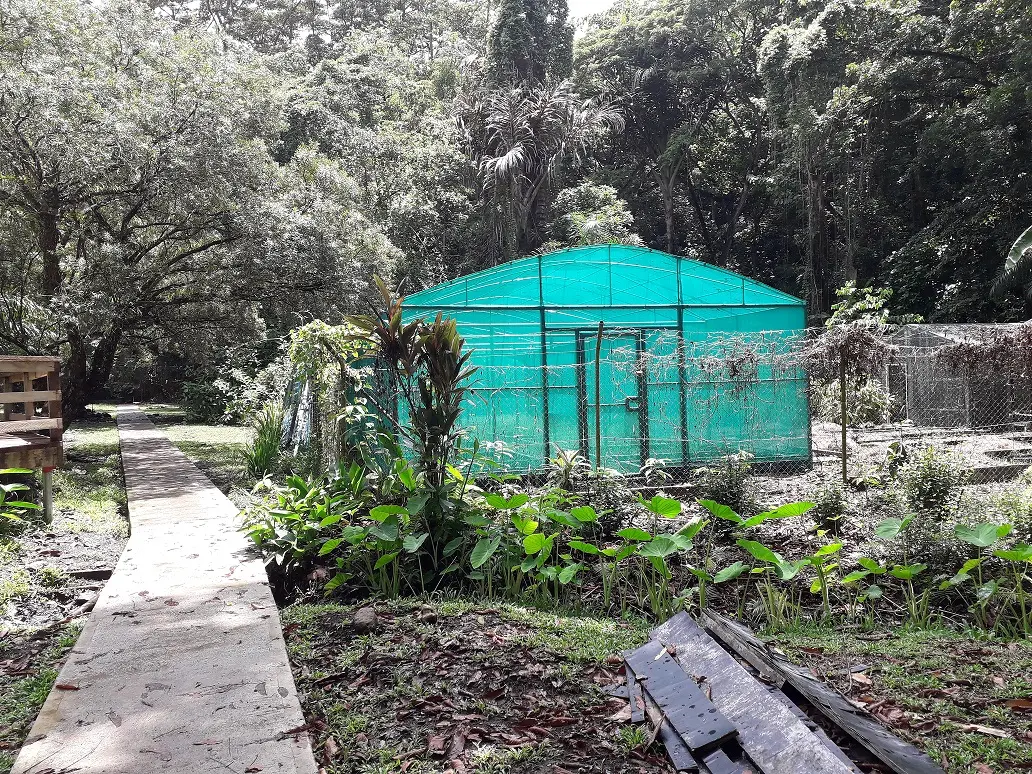 Its aim is to attract visitors and families to the garden. But since its upgrade more and more unwanted activities are taking place at the garden.