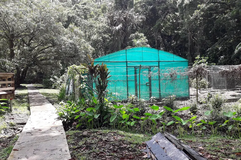 Its aim is to attract visitors and families to the garden. But since its upgrade more and more unwanted activities are taking place at the garden.