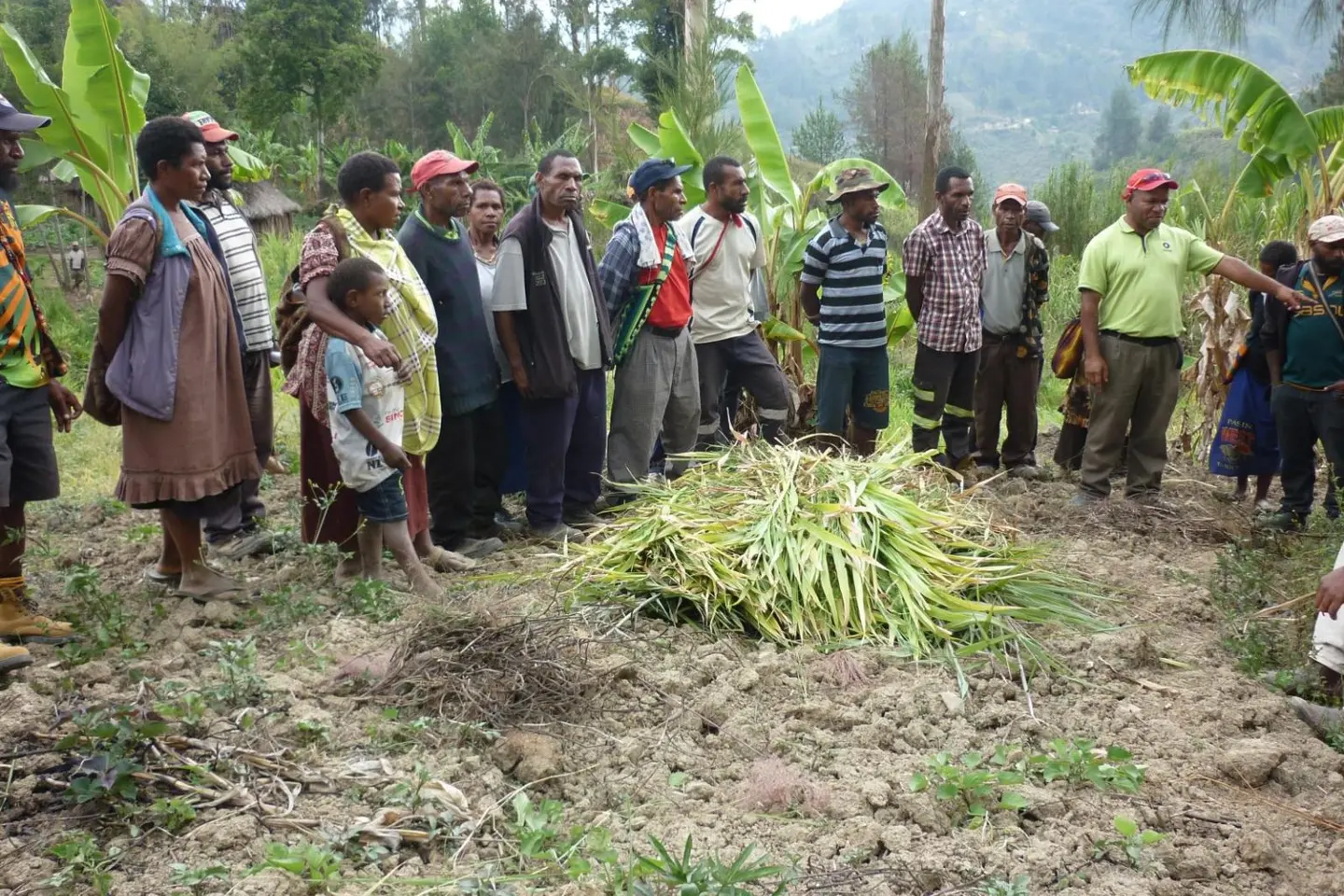 Drought adaptation training in Simbu Province, Papua New Guinea.