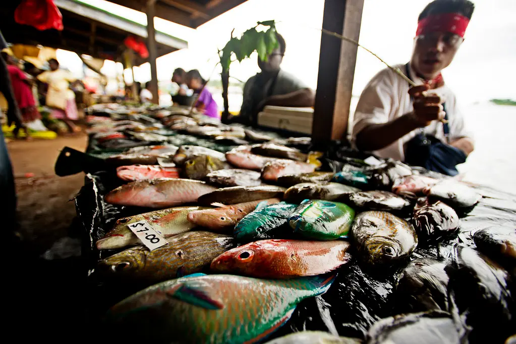 MPs Urged to Focus on Agriculture and Fisheries