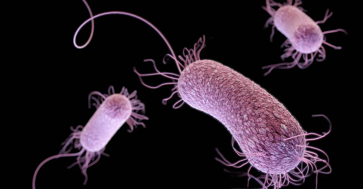 NRH explains that the misuse of antibiotics (e.g. Amoxil, cloxacillin, septrin, flagyl) by self-medication, demanding from health workers (doctors, nurses, pharmacist), seeking self-prescription, under dosing, overdosing, inappropriate duration are part of the causation of the development of superbug or AMR.