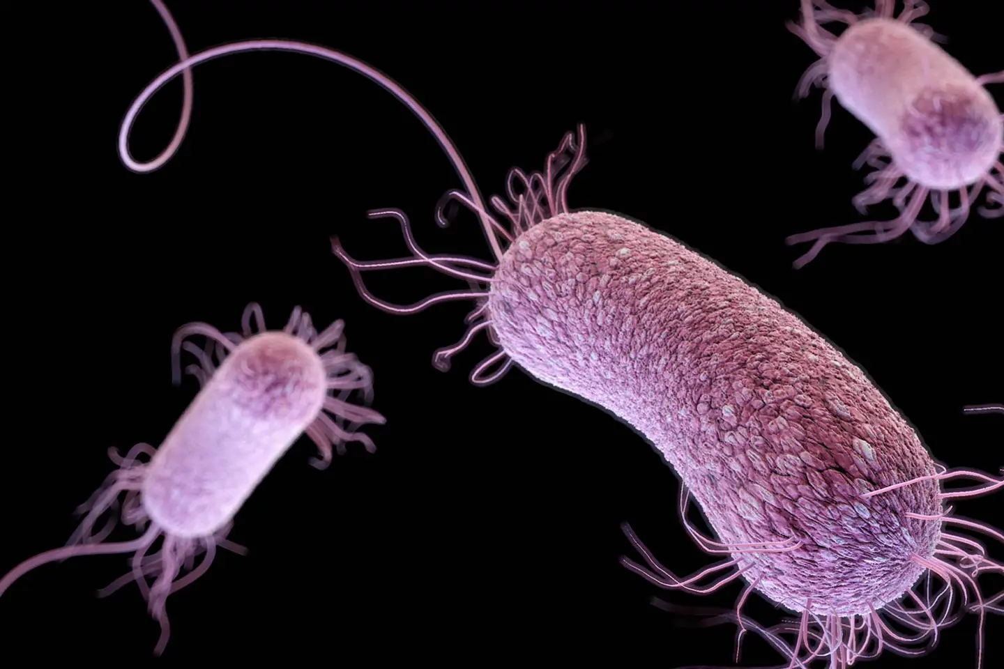 NRH explains that the misuse of antibiotics (e.g. Amoxil, cloxacillin, septrin, flagyl) by self-medication, demanding from health workers (doctors, nurses, pharmacist), seeking self-prescription, under dosing, overdosing, inappropriate duration are part of the causation of the development of superbug or AMR.