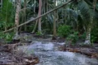 An earlier picture of water flowing onto Han Island during January 2007 high tide.
