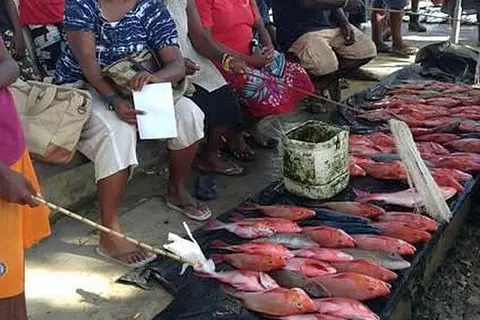 The new program will work with businesses over four years to provide tools to “recruit, retain, and promote women” throughout companies in the Solomon Islands – from the executive level to non-traditional roles.