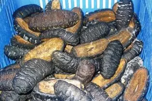 He told SIBC News that the beche de mer shipment could have fetched close to four million dollars had it been exported.
