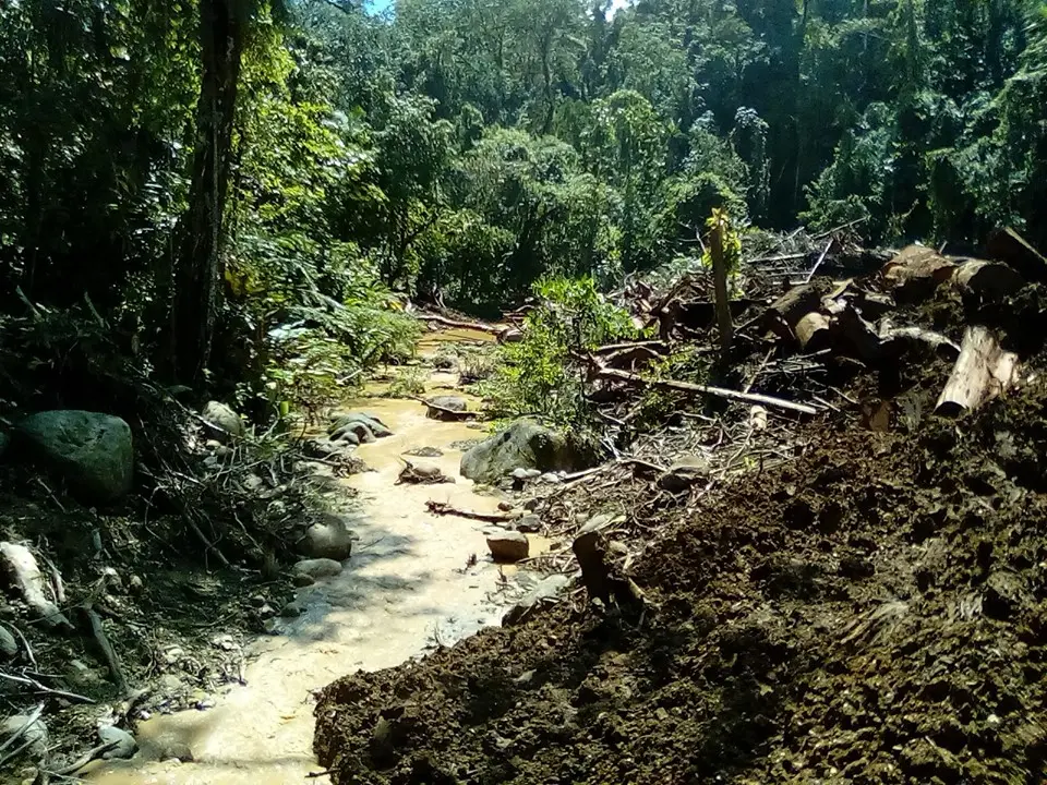 Sediment run-off from logged areas at the Kongulai catchment area.
