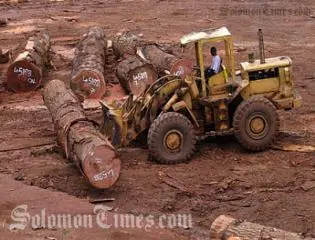 Mr Rarawa said the country's log production last year fell by 31% last year.
