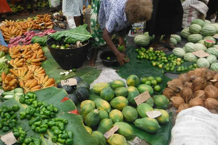 The Opposition Leader said millions of dollars had been spent on several mock lockdowns in the past and there should already be mechanisms in place to address food supply and distribution in such situations.