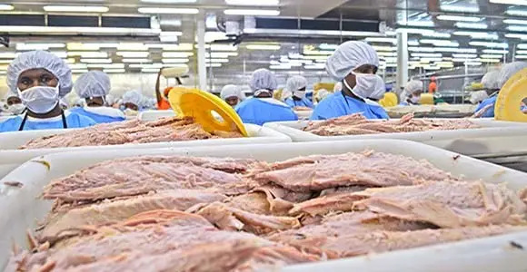 RD Tuna cannery is based in Madang, a growing fish processing hub in PNG.