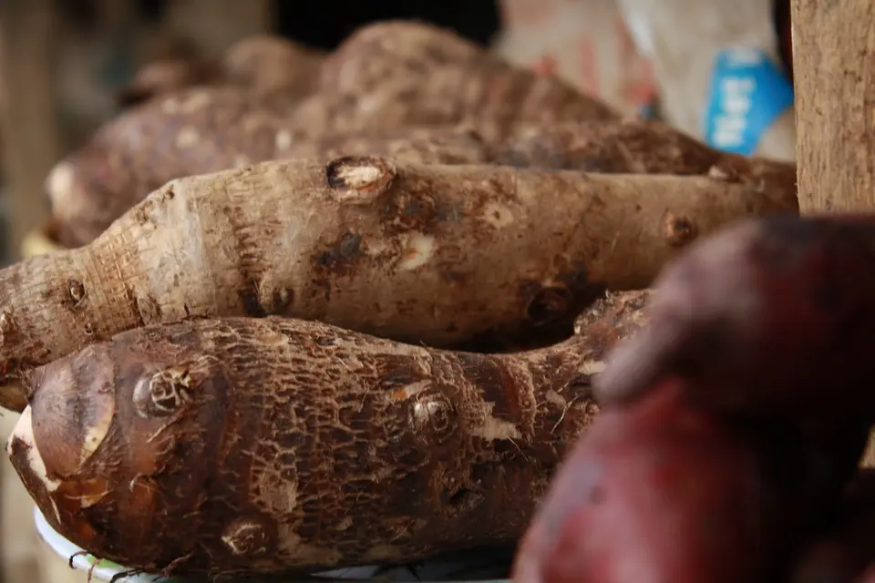 “While we continue to encourage our farmers to increase their production on potential commodities, it is also important to inform them on standards that is required for export into international markets,” Mr. Kiriau said.
