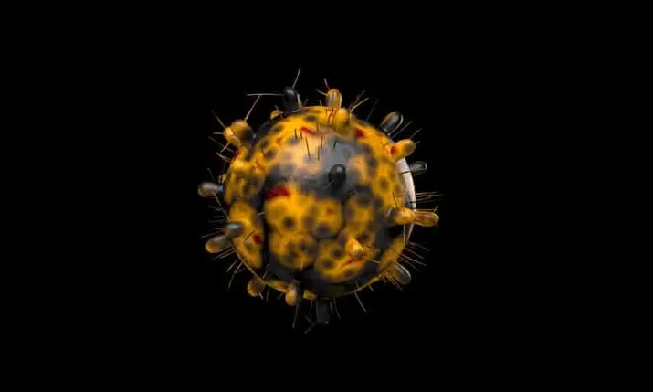 We now have the two most transmissible and deadliest variants of Covid-19 in the country.