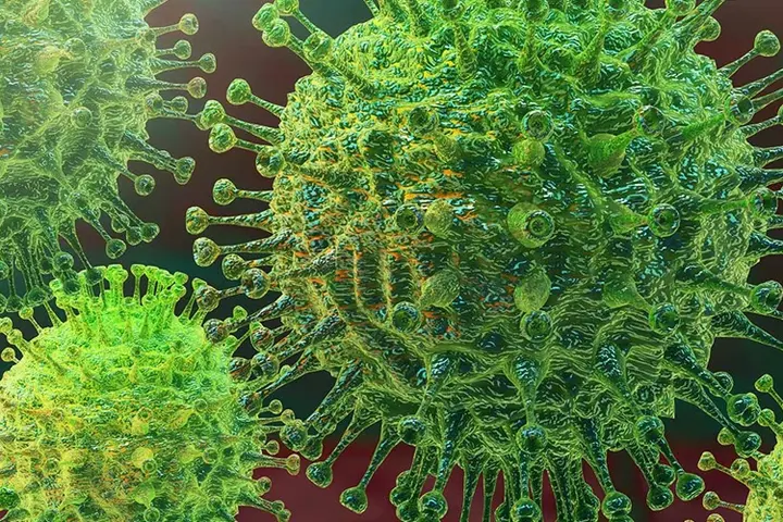 Coronaviruses are zoonotic, meaning they are transmitted between animals and people. Detailed investigations found that SARS-CoV was transmitted from civet cats to humans and MERS-CoV from dromedary camels to humans. Several known coronaviruses are circulating in animals that have not yet infected humans.