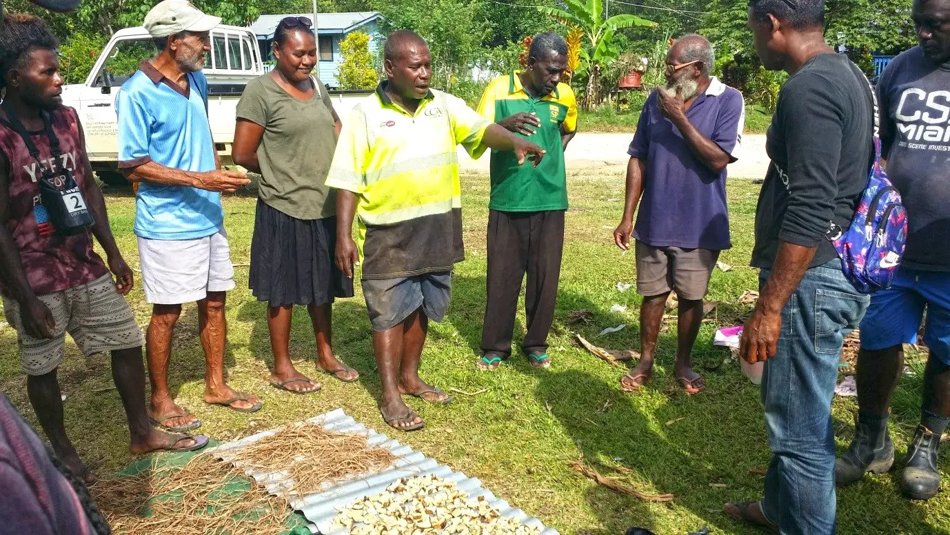 Co-facilitated by lead Kava Farmer, Mr. Patrick Soruevo, a total of 22 farmers from ward 12 around Ringi area participated in the training.